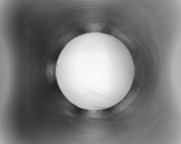 X0000096460240200802141538