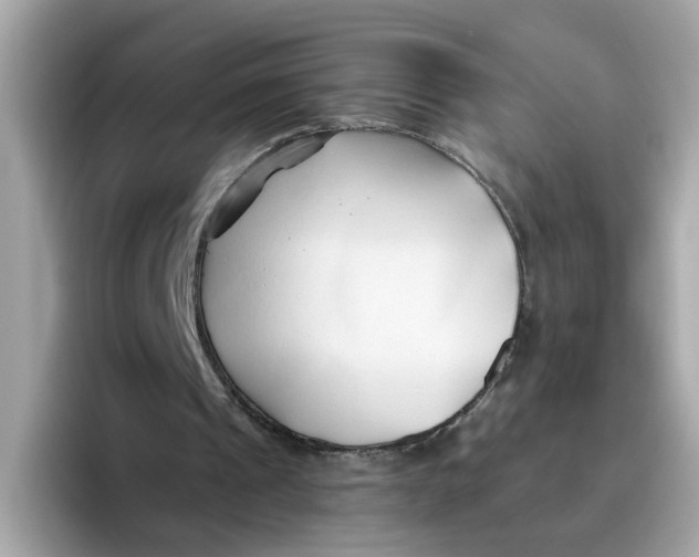 X0000096460241200802141538