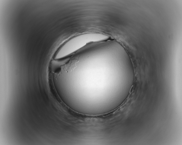 X0000096460242200802141538