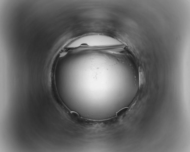 X0000096460243200802141538