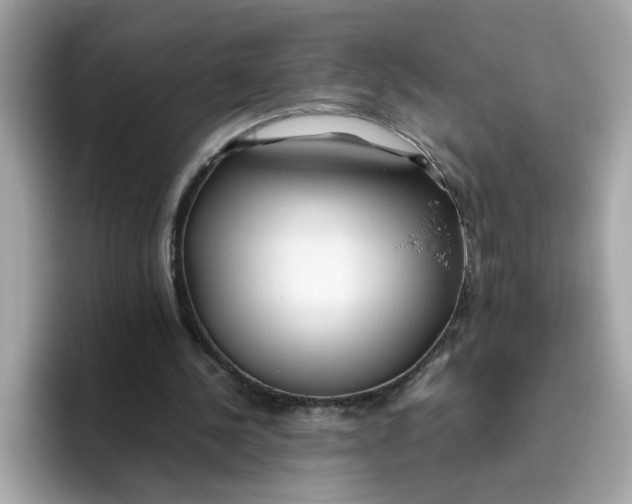 X0000096460244200802141538