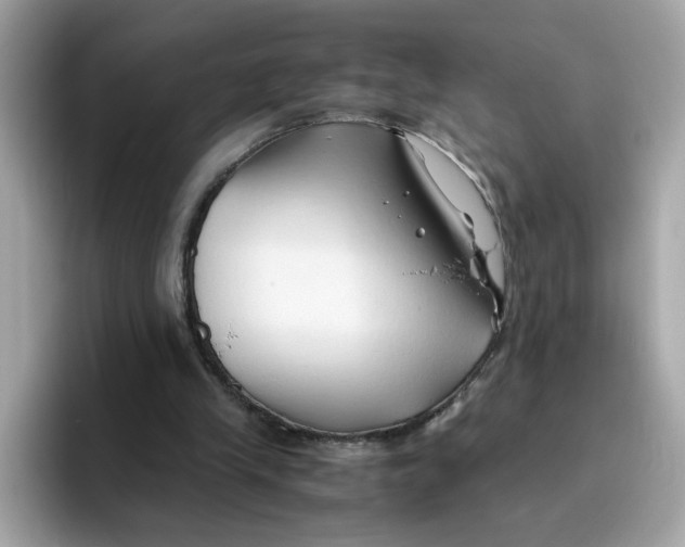 X0000096460245200802141538