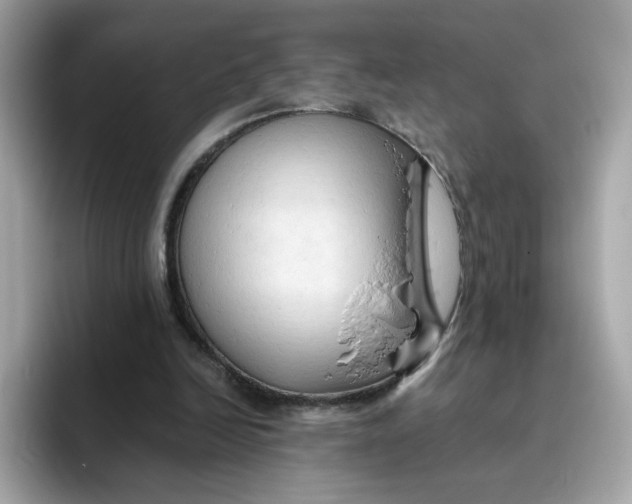 X0000096460246200802141538