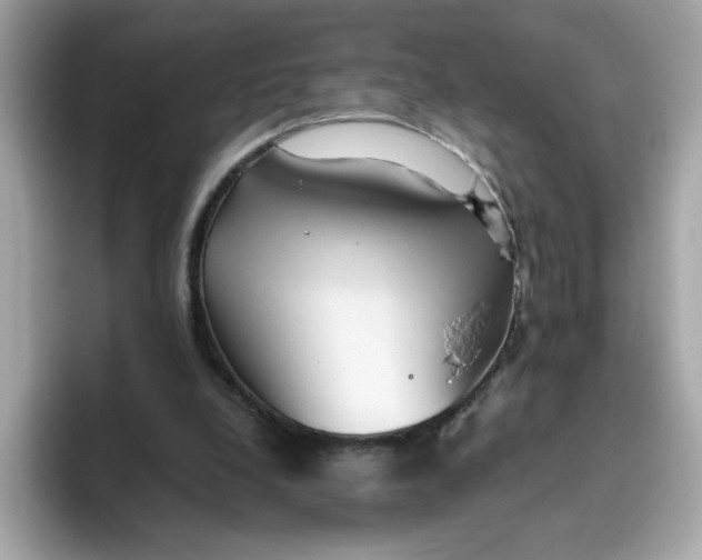 X0000096460248200802141538