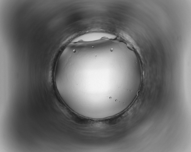 X0000096460249200802141538