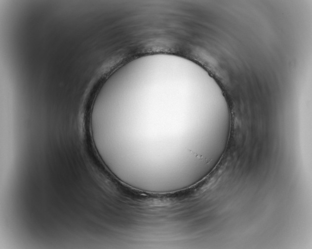 X0000096460250200802141538