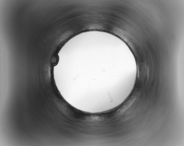 X0000096460253200802141538