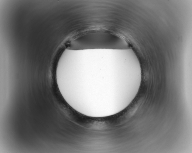 X0000096460256200802141538