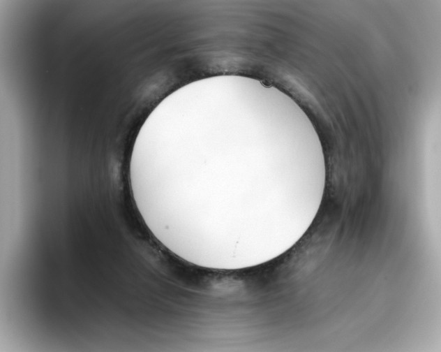 X0000096460258200802141538