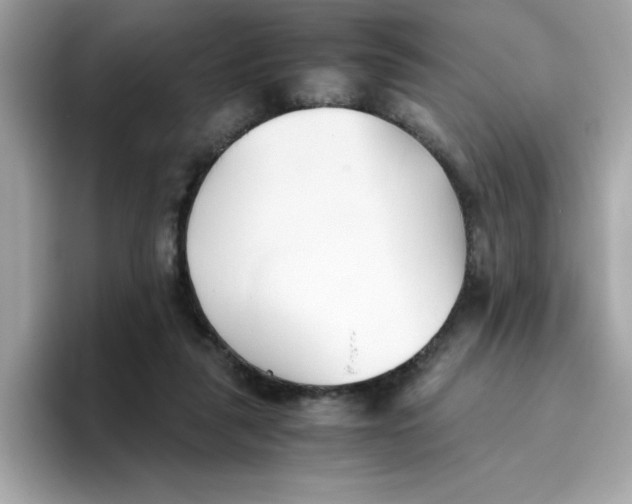 X0000096460259200802141538