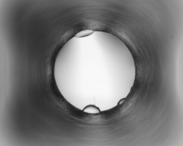 X0000096460260200802141538