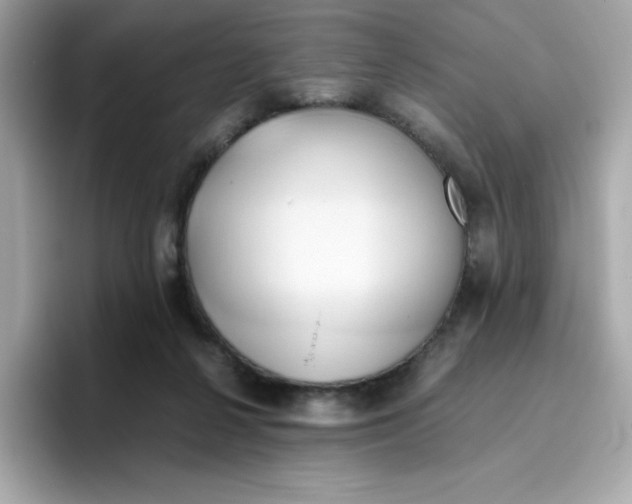 X0000096460264200802141538