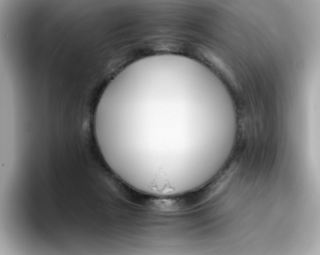 X0000096460265200802141538