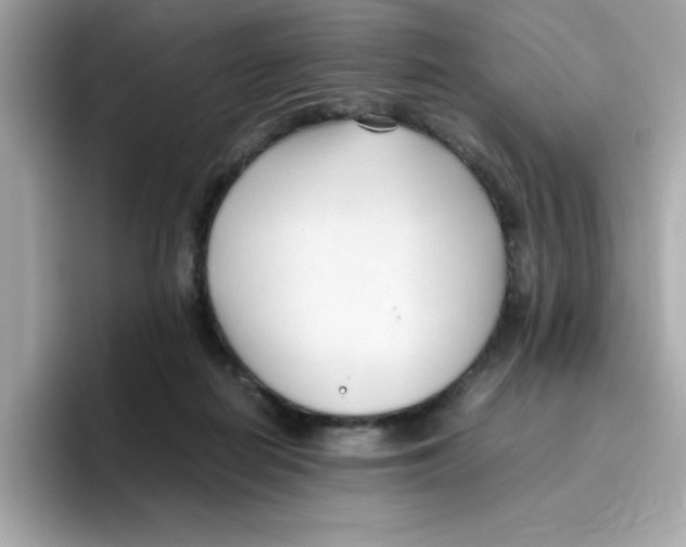 X0000096460266200802141538