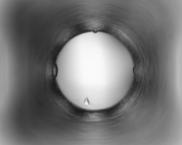 X0000096460268200802141538