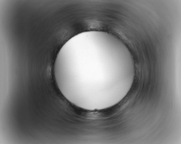 X0000096460269200802141538
