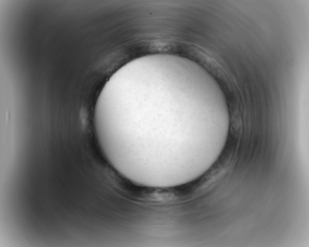 X0000096460270200802141538