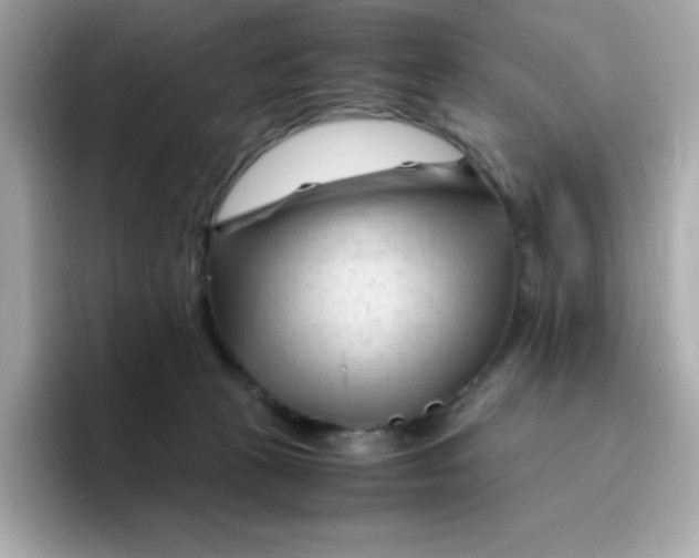 X0000096460273200802141538