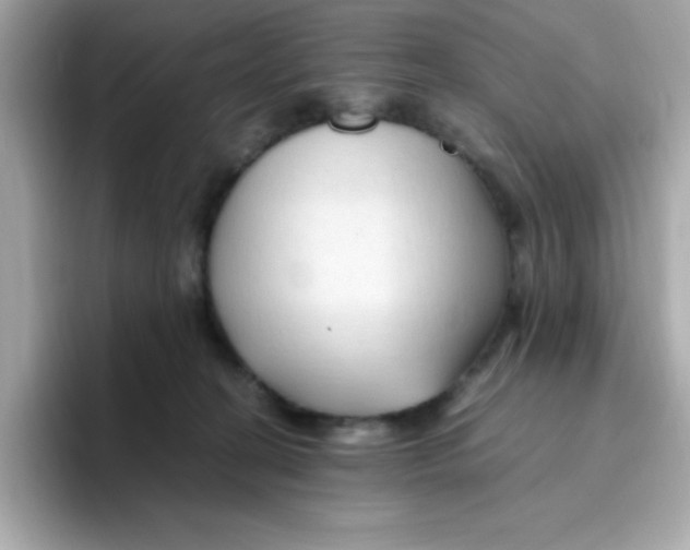 X0000096460274200802141538