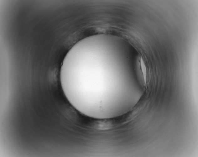 X0000096460275200802141538