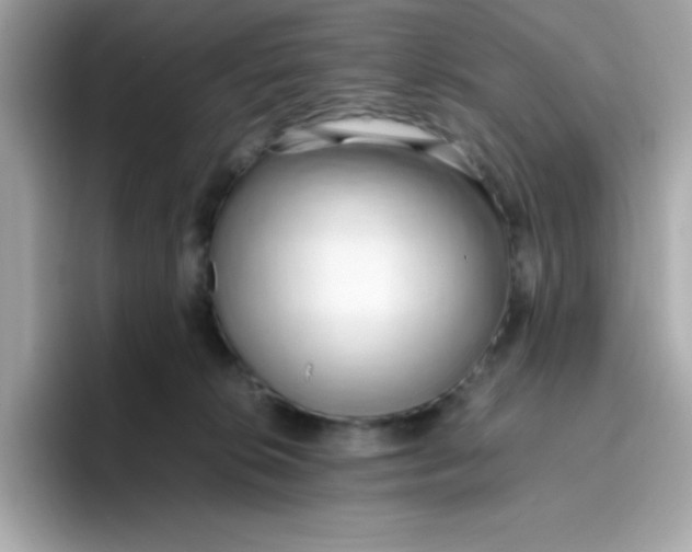 X0000096460276200802141538