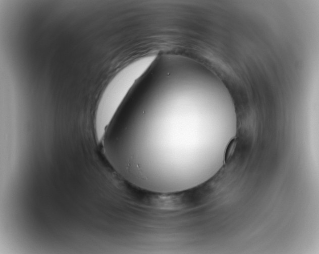 X0000096460277200802141538