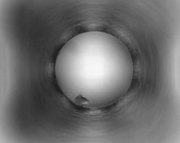 X0000096460278200802141538