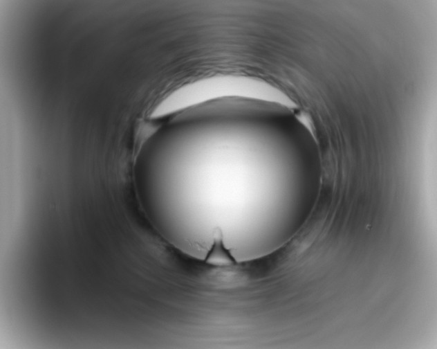 X0000096460280200802141538