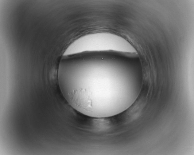 X0000096460281200802141538