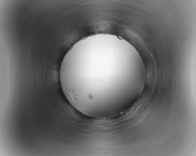 X0000096460282200802141538