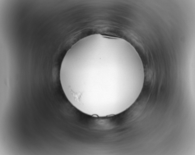 X0000096460283200802141538