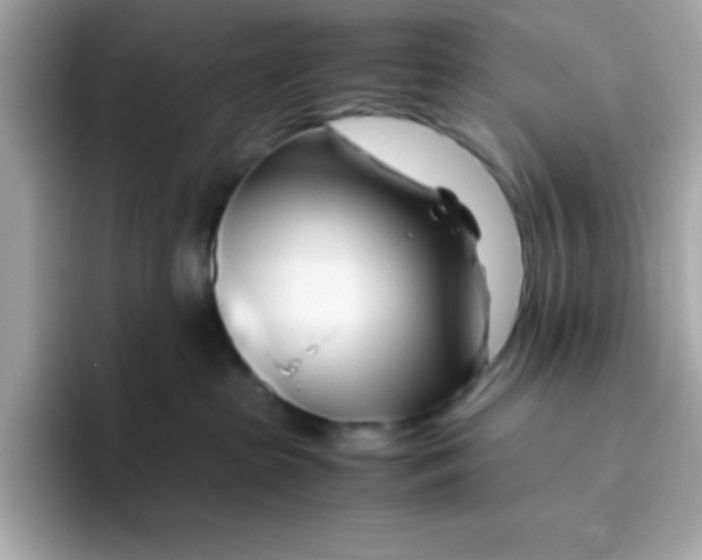 X0000096460285200802141538