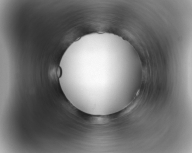 X0000096460286200802141538