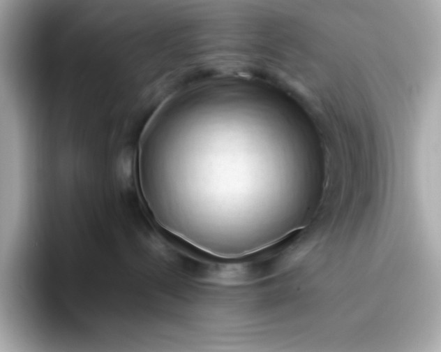 X0000096460288200802141538