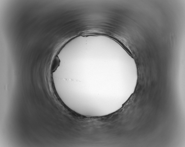 X0000096460289200802141538