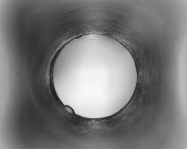X0000096460290200802141538