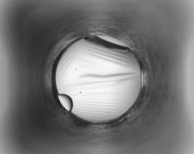 X0000096460291200802141538