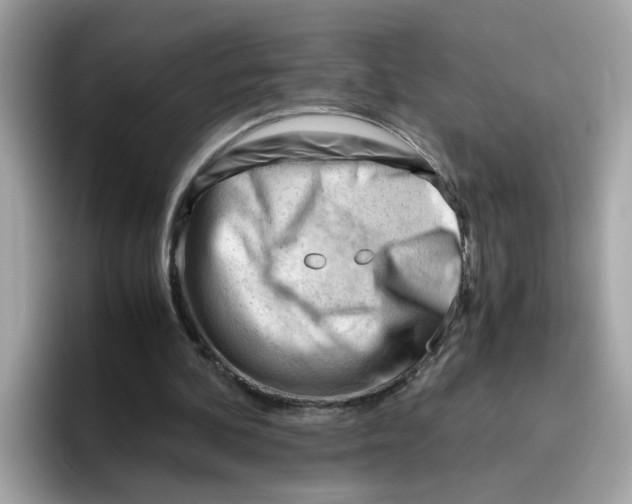 X0000096460292200802141538