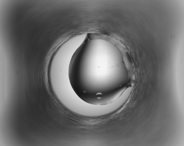 X0000096460293200802141538