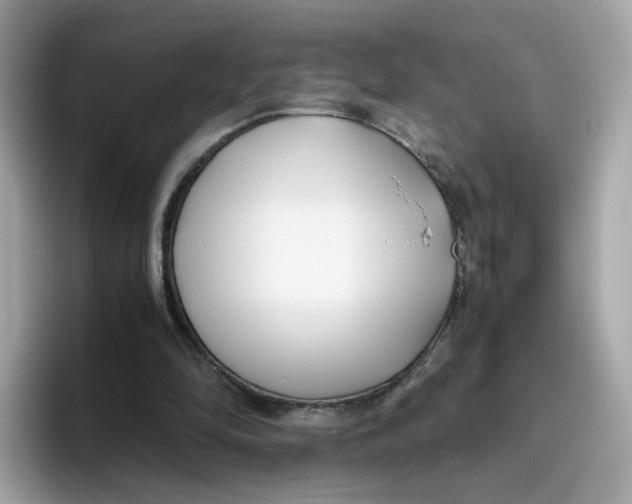 X0000096460294200802141538