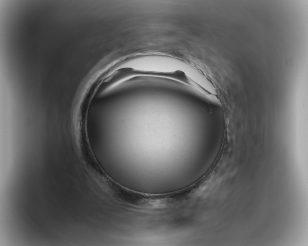 X0000096460295200802141538