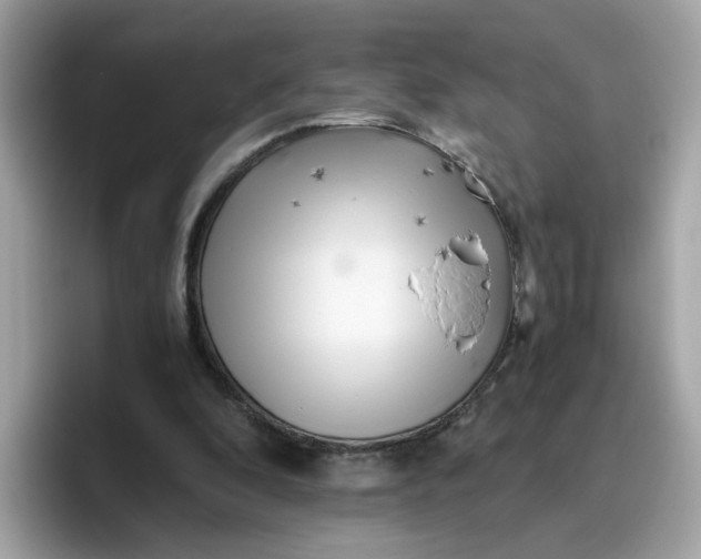 X0000096460296200802141538