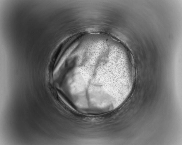 X0000096460297200802141537