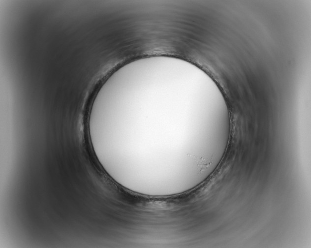 X0000096460298200802141537