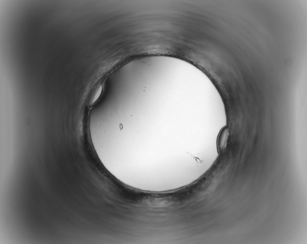 X0000096460299200802141537