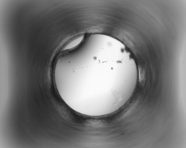 X0000096460300200802141537