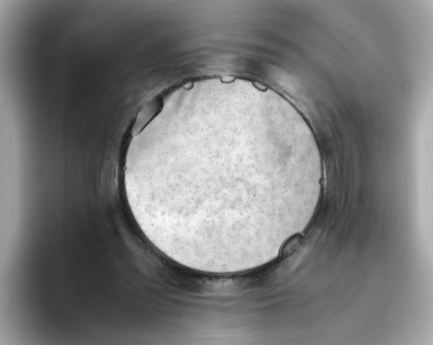 X0000096460301200802141537