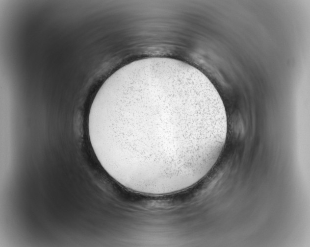 X0000096460303200802141537