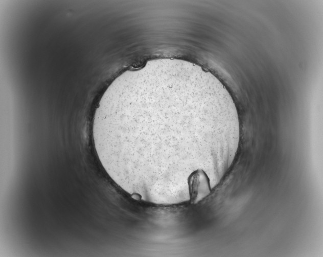X0000096460305200802141537