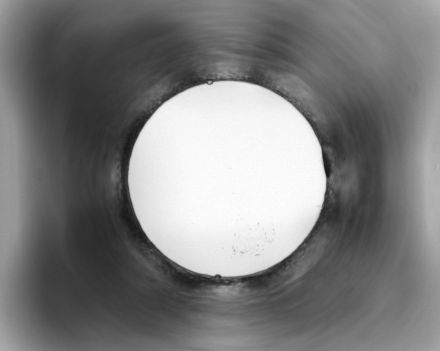 X0000096460306200802141537